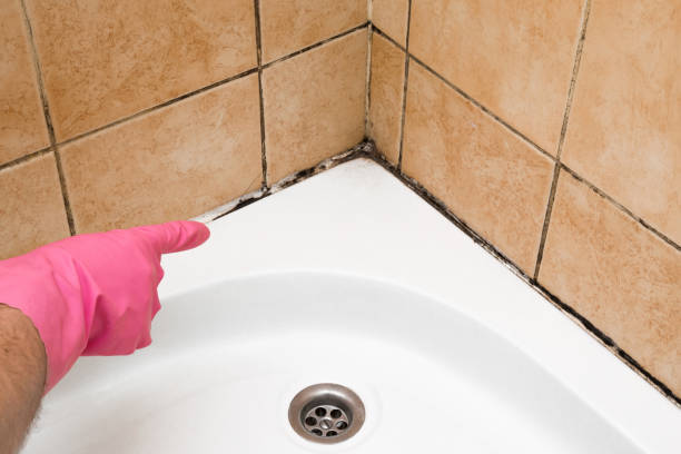 Best Bathroom Mold Remediation in Tarrytown, NY